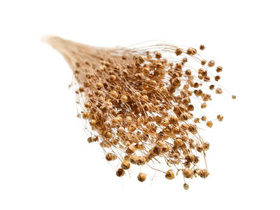 Flax crop