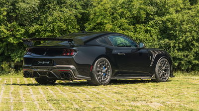 Ford Mustang CS800DH - rear