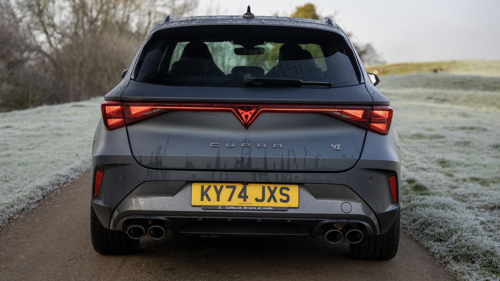 Cupra Leon Estate - rear, static